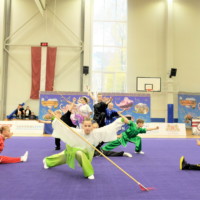 “The Fifth Baltic Open Wushu Championship” opened in Riga，Latvia