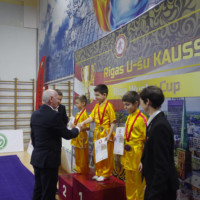 The 8th Riga Wushu Cup in Latvia Was Successfully Held
