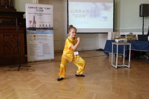 小选手展示中国武术